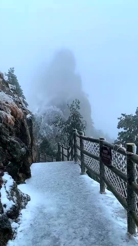 黎明守卫者
