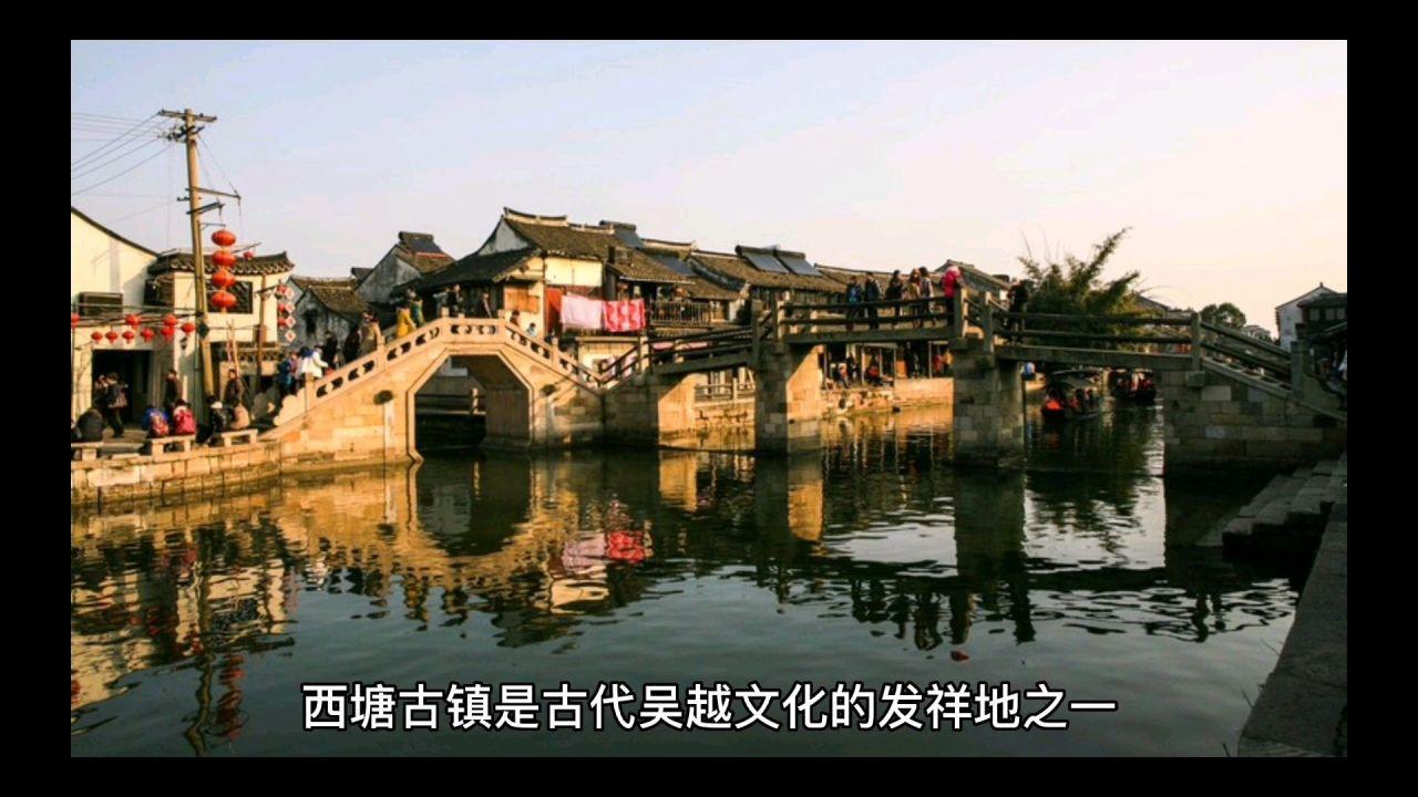 救援受困的小野猫